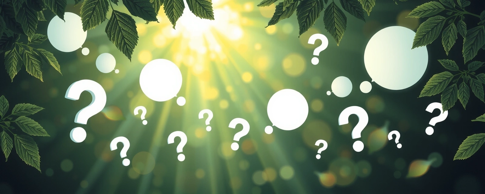 Abstract illustration of various question marks floating in a serene, natural environment, symbolizing inquiry and discovery.
